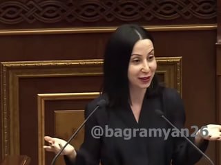 Мария Карапетян раскрыла связи Давтяна с азербайджанской молодежью в Артике