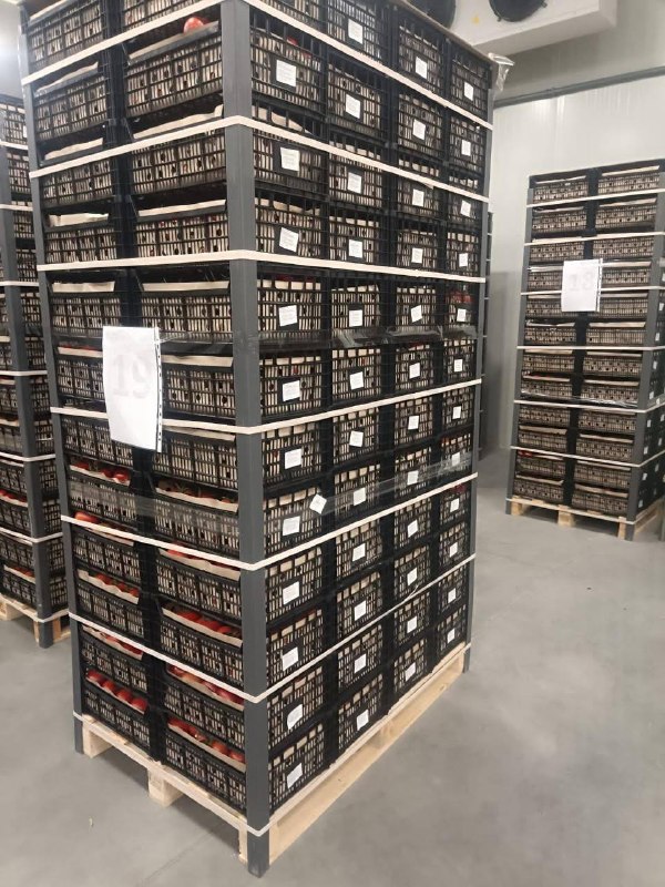 Армянская сельхозпродукция поступила в Грузию: что известно о поставках