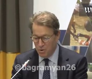 Пресс-конференция наблюдательной миссии IRI по выборам в Армении, Артик