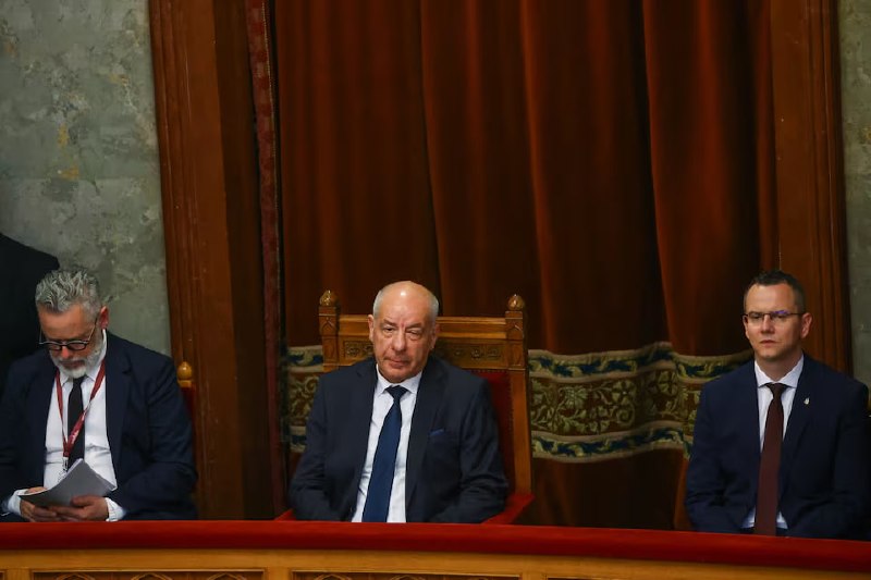 Парламент Венгрии одобрил отстранение президента Шуйока — что известно в Артике