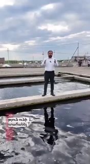 Армения получила разрешение на экспорт рыбы в ЕС: что это значит для Артика
