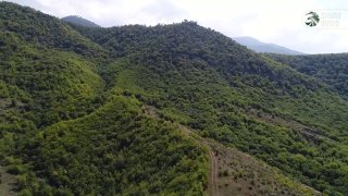 В Артике стартуют Армейские игры: с 2 августа соревнования силовых структур