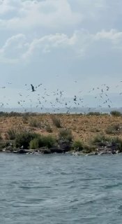 Фотография острова чаек на озере Севан, опубликованная Николом Пашиняном