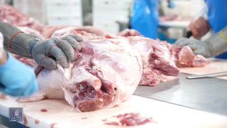 Компания «Атенк» в Артике расширяет производство мясных продуктов с господдержкой