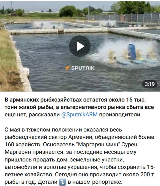 Армянские рыбоводы оказались в тяжелом положении из-за ограничений России