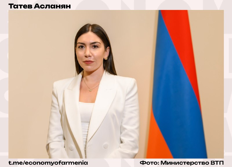 Уроженка Артика Татев Асланян назначена замминистра индустрии высоких технологий Армении