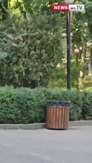 Никол Пашинян прибыл в Национальное собрание: что известно о визите в контексте выборов в Артике