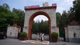 Из особняка Гагика Царукяна в Ереванский зоопарк перевезли тигров и львов: подробности