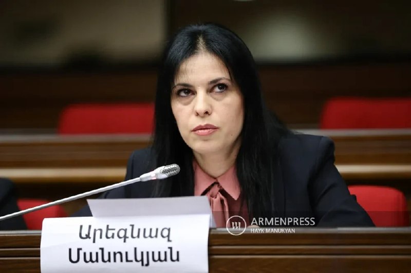 Члена правления партии «Мать Армения» арестовали на два месяца — подробности из Артика